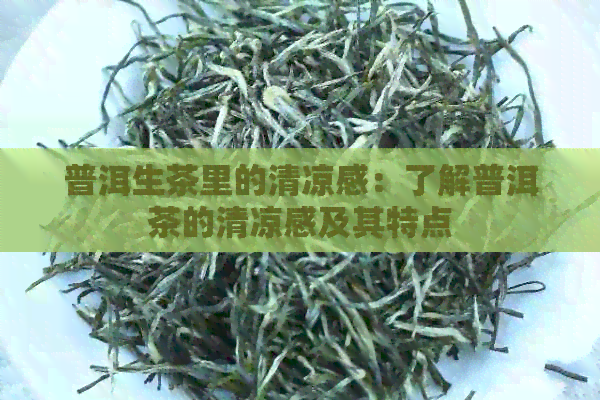 普洱生茶里的清凉感：了解普洱茶的清凉感及其特点