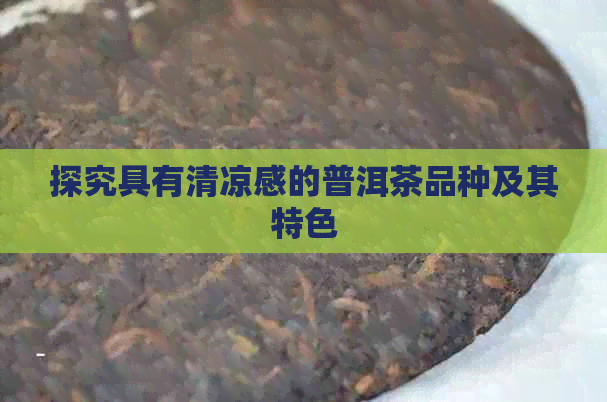 探究具有清凉感的普洱茶品种及其特色