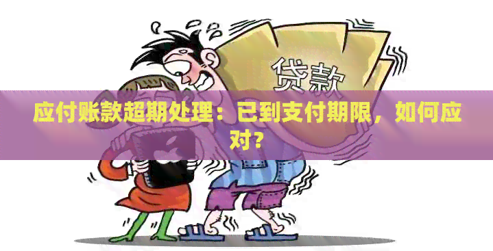 应付账款超期处理：已到支付期限，如何应对？