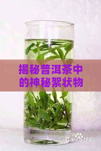 揭秘普洱茶中的神秘絮状物：了解其出现原因及解析