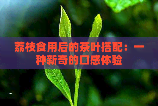 荔枝食用后的茶叶搭配：一种新奇的口感体验