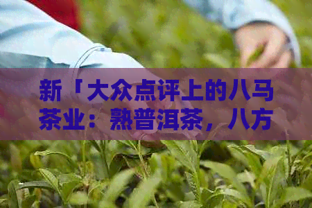 新「大众点评上的八马茶业：熟普洱茶，八方来财」