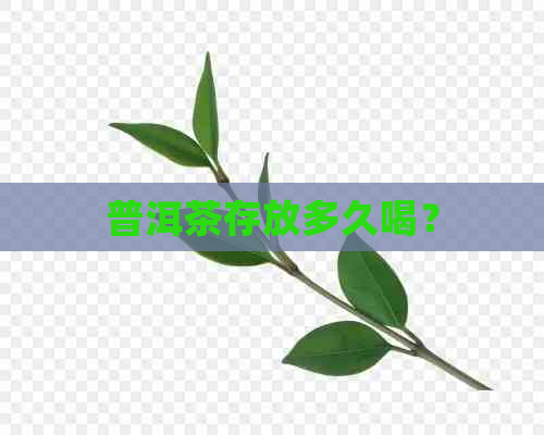 普洱茶存放多久喝？