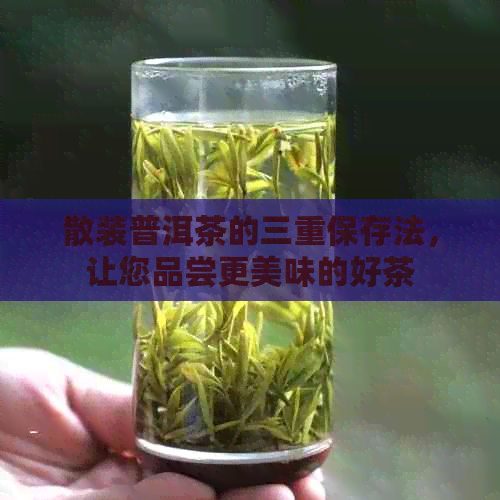 散装普洱茶的三重保存法，让您品尝更美味的好茶