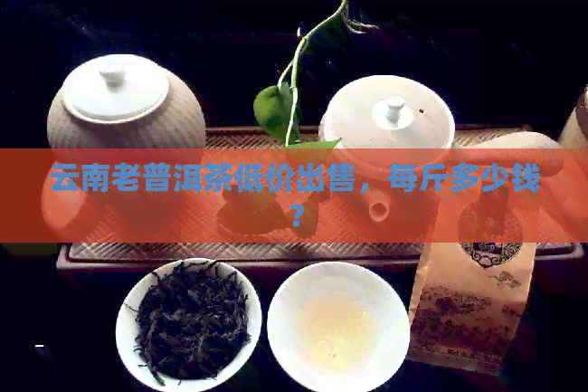 云南老普洱茶低价出售，每斤多少钱？