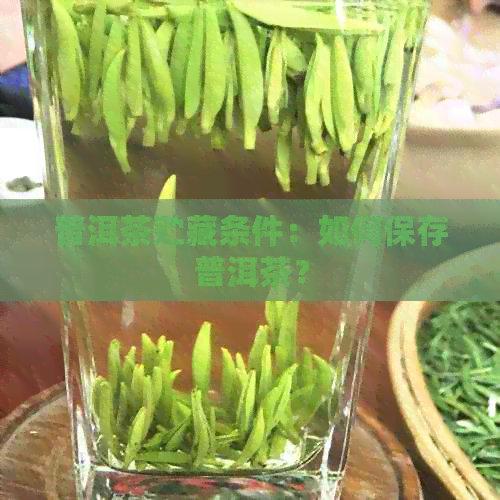 普洱茶贮藏条件：如何保存普洱茶？