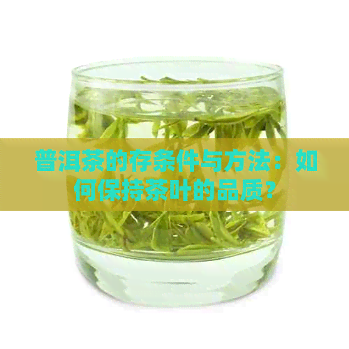 普洱茶的存条件与方法：如何保持茶叶的品质？