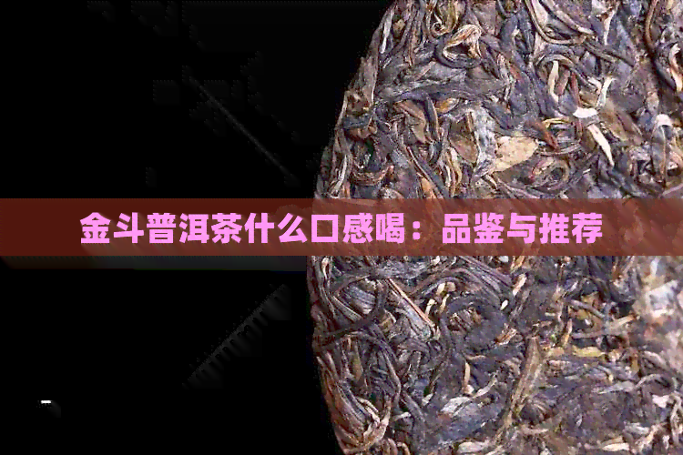 金斗普洱茶什么口感喝：品鉴与推荐