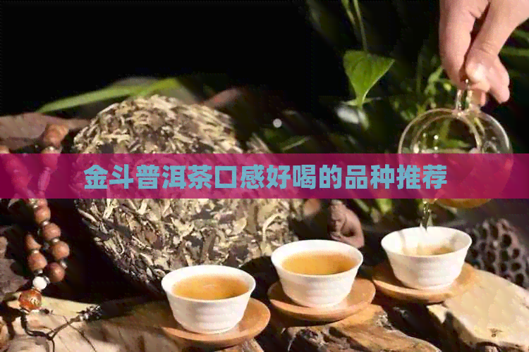 金斗普洱茶口感好喝的品种推荐