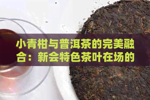 小青柑与普洱茶的完美融合：新会特色茶叶在场的品质保证