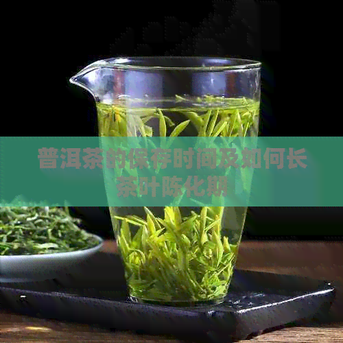 普洱茶的保存时间及如何长茶叶陈化期