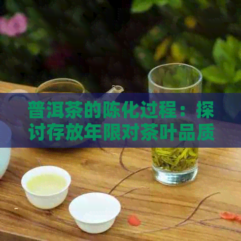 普洱茶的陈化过程：探讨存放年限对茶叶品质的影响