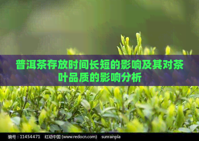 普洱茶存放时间长短的影响及其对茶叶品质的影响分析