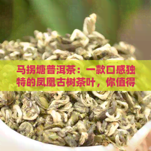 马拐塘普洱茶：一款口感独特的凤凰古树茶叶，你值得拥有！