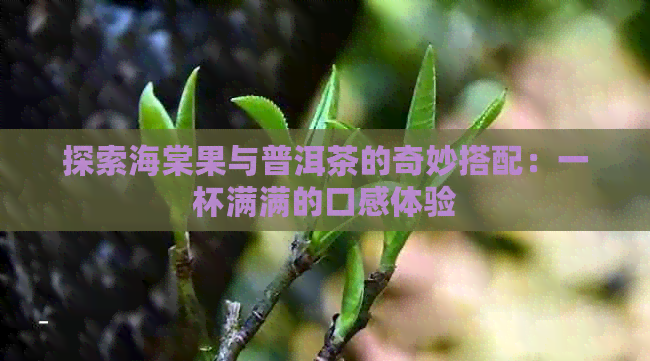 探索海棠果与普洱茶的奇妙搭配：一杯满满的口感体验