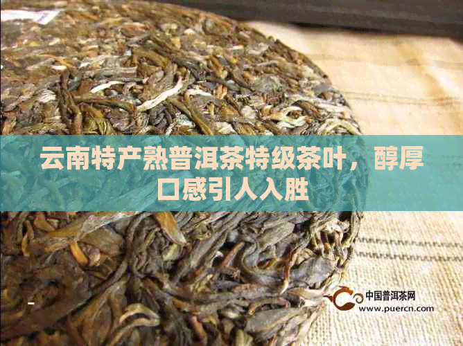 云南特产熟普洱茶特级茶叶，醇厚口感引人入胜