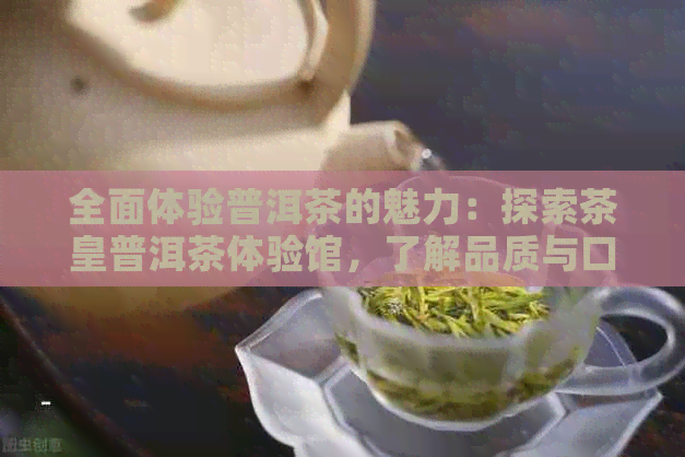 全面体验普洱茶的魅力：探索茶皇普洱茶体验馆，了解品质与口感