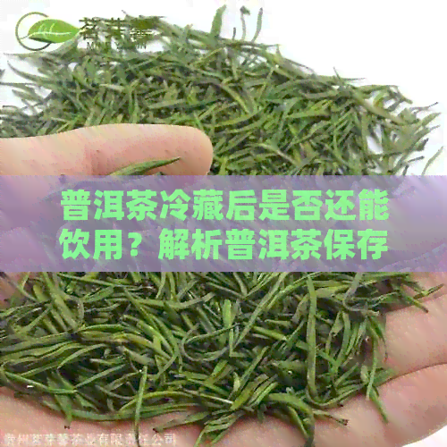 普洱茶冷藏后是否还能饮用？解析普洱茶保存与冰箱的关系