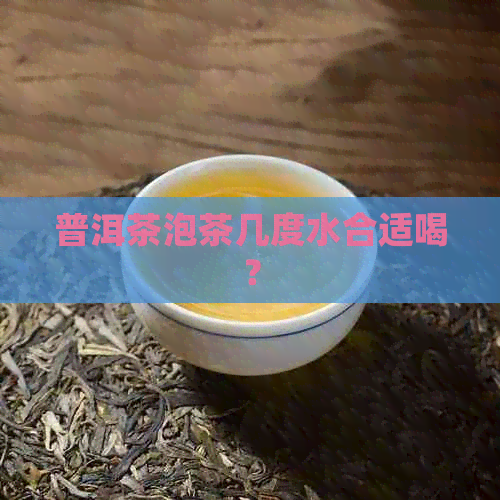 普洱茶泡茶几度水合适喝？