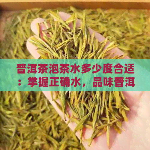 普洱茶泡茶水多少度合适：掌握正确水，品味普洱茶的醇厚与香浓