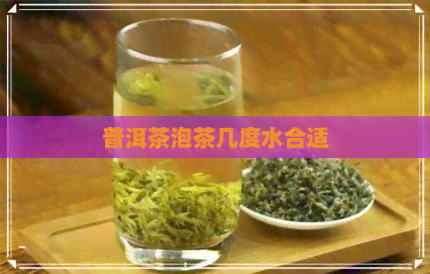 普洱茶泡茶几度水合适