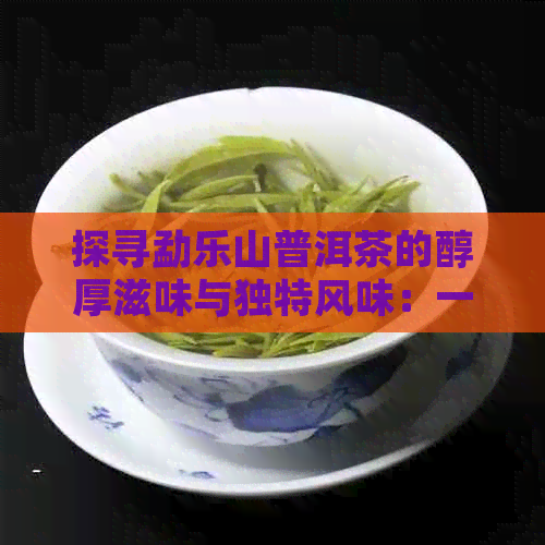 探寻勐乐山普洱茶的醇厚滋味与独特风味：一份全面品鉴指南