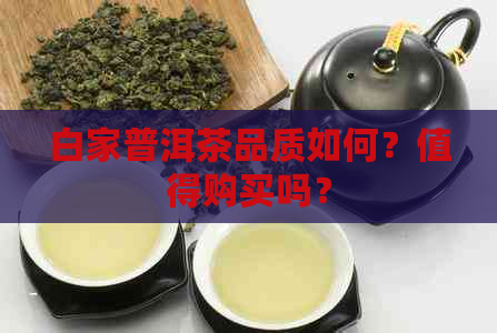 白家普洱茶品质如何？值得购买吗？