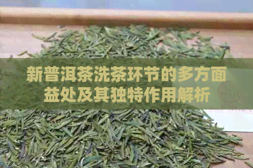 新普洱茶洗茶环节的多方面益处及其独特作用解析