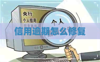 信用逾期怎么修复