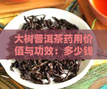 大树普洱茶药用价值与功效：多少钱一斤？