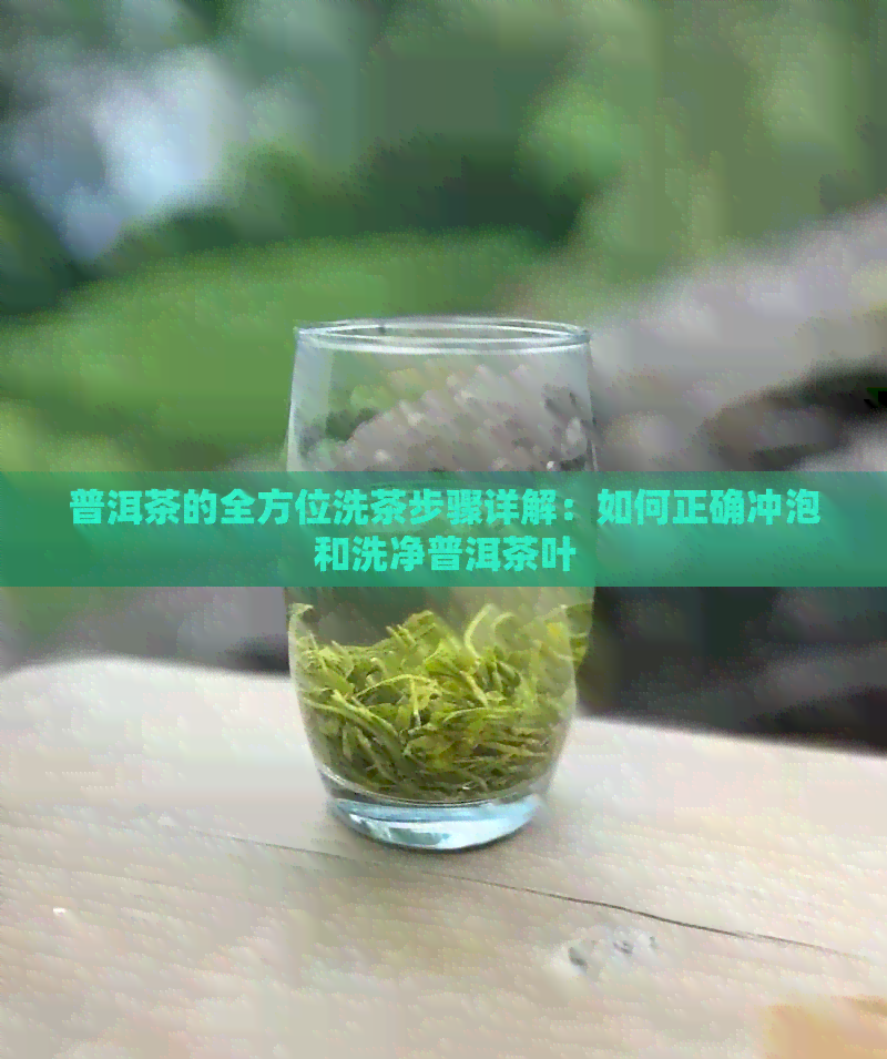 普洱茶的全方位洗茶步骤详解：如何正确冲泡和洗净普洱茶叶