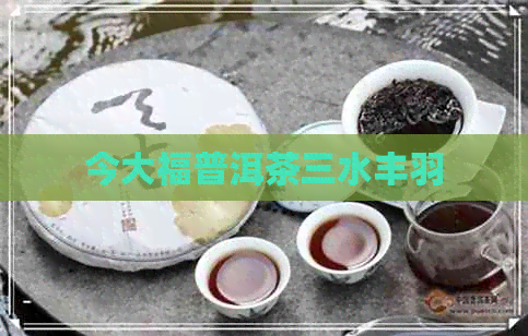 今大福普洱茶三水丰羽