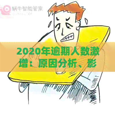 2020年逾期人数激增：原因分析、影响范围与应对措全方位解析