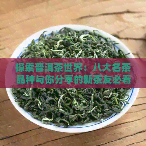 探索普洱茶世界：八大名茶品种与你分享的新茶友必看指南