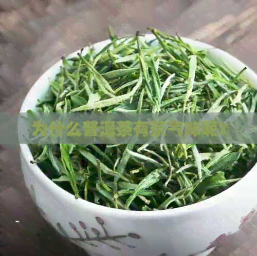 为什么普洱茶有茶气味呢？