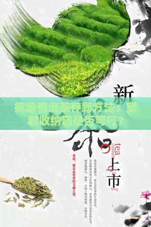 探索普洱茶存新方法：塑料收纳箱是否可行？