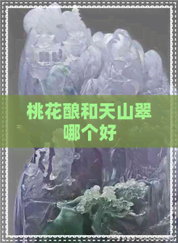 桃花酿和天山翠哪个好