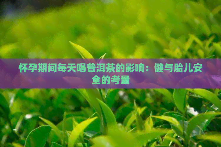 怀孕期间每天喝普洱茶的影响：健与胎儿安全的考量