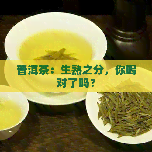 普洱茶：生熟之分，你喝对了吗？