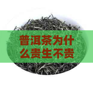 普洱茶为什么贵生不贵熟：探讨普洱茶价格差异及原因