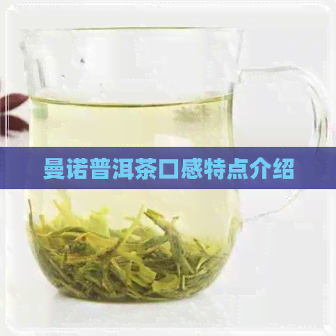 曼诺普洱茶口感特点介绍