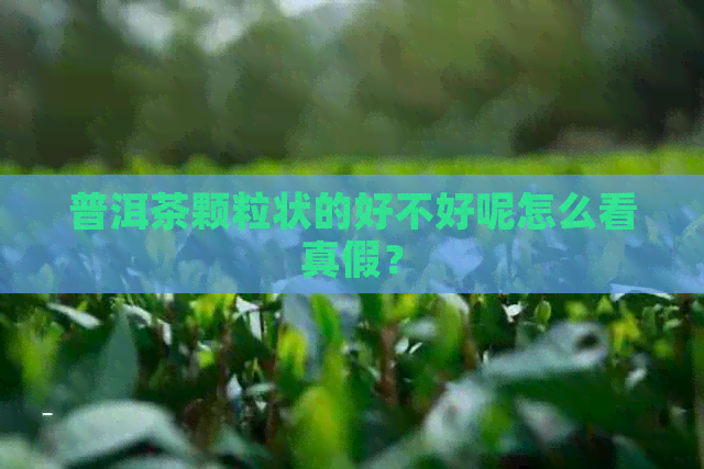 普洱茶颗粒状的好不好呢怎么看真假？