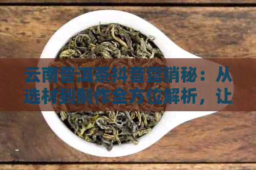 云南普洱茶抖音营销秘：从选材到制作全方位解析，让你轻松成为茶叶达人！