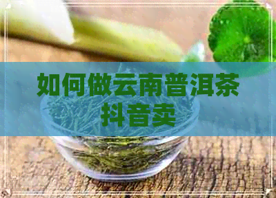 如何做云南普洱茶抖音卖