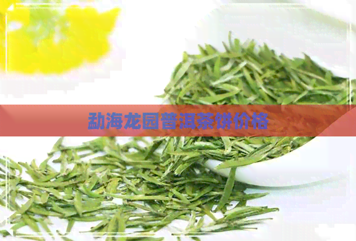 勐海龙园普洱茶饼价格