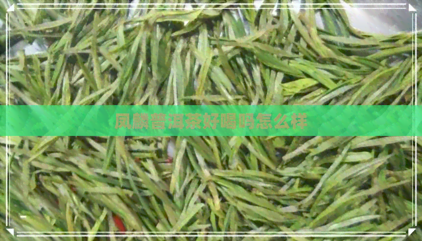 凤麟普洱茶好喝吗怎么样