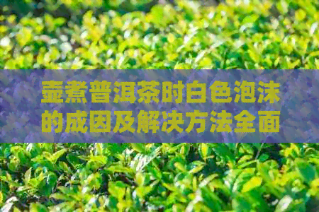 壶煮普洱茶时白色泡沫的成因及解决方法全面解析