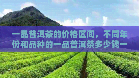 一品普洱茶的价格区间，不同年份和品种的一品普洱茶多少钱一盒？