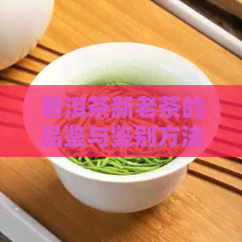 普洱茶新老茶的品鉴与鉴别方法：从生茶到熟茶的转变之道