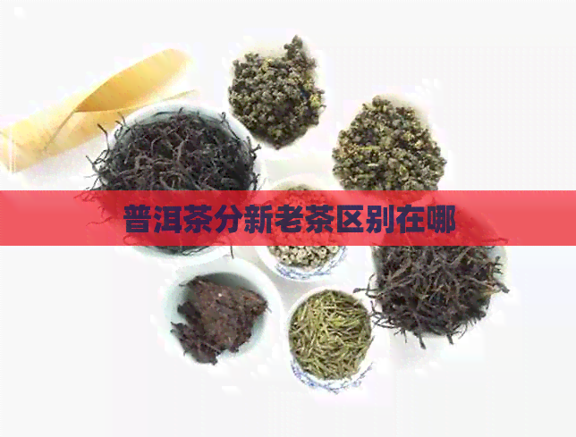 普洱茶分新老茶区别在哪